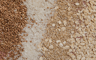 Various whole grains including buckwheat groats, white rice, and rolled oats arranged in neat textured rows.